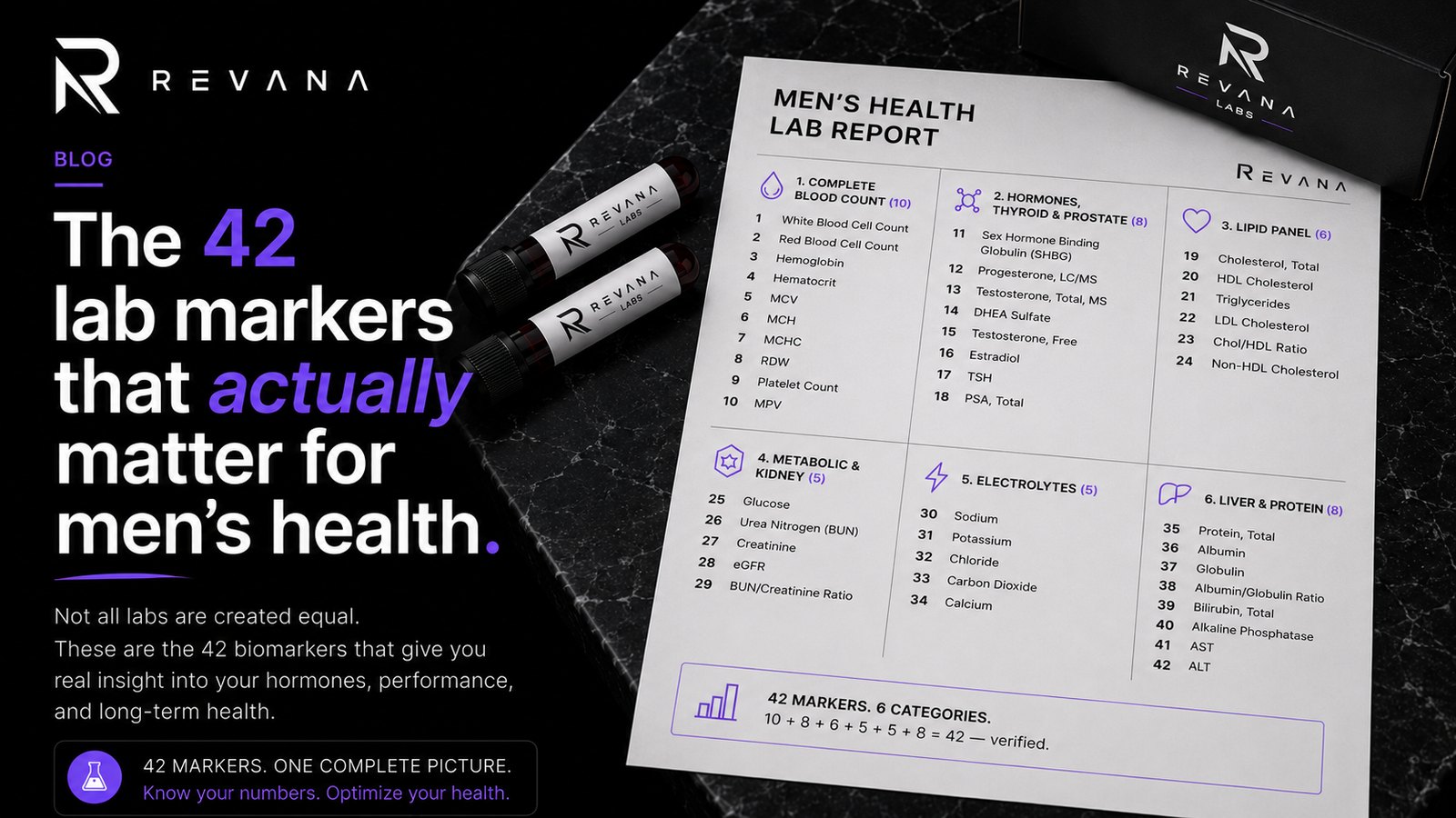 The 42 lab markers that matter for men’s health: Revana lab report showing all six categories
